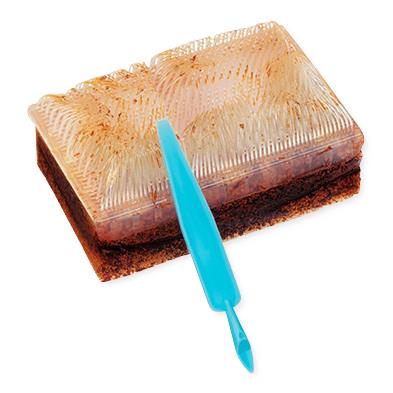 BD EZ Scrub, with 3% PCMX, 30/Box