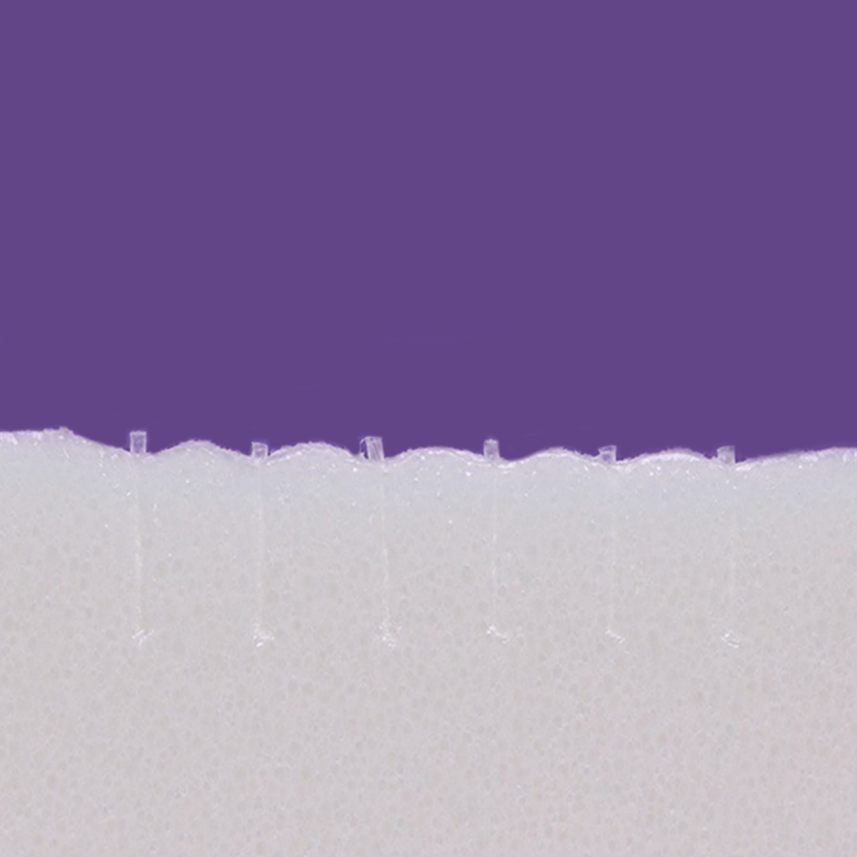 Close-up of a white porous surface with thin, translucent threads extending vertically, resembling Lacrivera VeraC7 Collagen Plugs used in temporary punctal occlusion for dry eye therapy, set against a solid purple background.